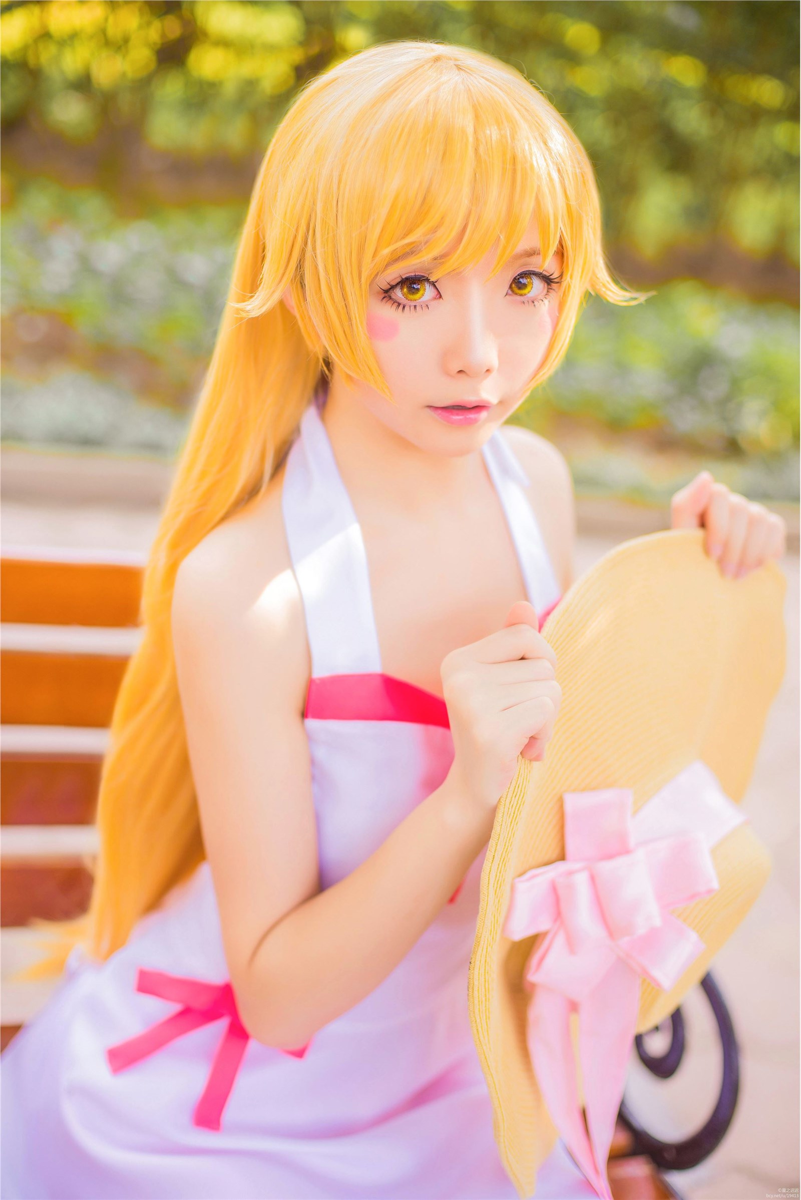 Star's Delay to December 22, Coser Hoshilly BCY Collection 9(114)